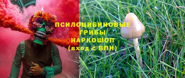 дурь Волоколамск