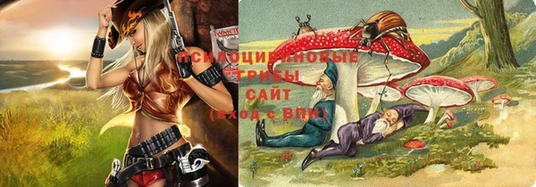 дурь Волоколамск