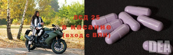 ПСИЛОЦИБИНОВЫЕ ГРИБЫ Володарск